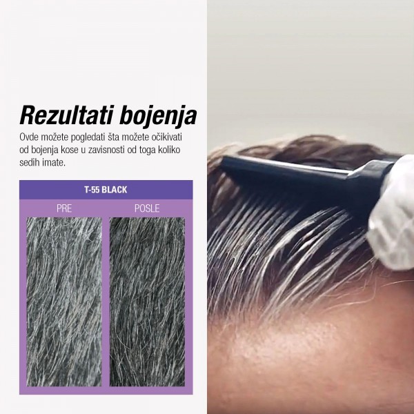 JUST FOR MEN TOUCH OF GRAY - CRNI