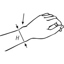 Measuring point:  H = Circumference of wrist proximal of styloideus  
