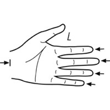 Measuring point:  L = Begin of palm to finger tip  