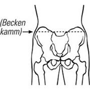Measuring point:  Circumference of pelvis above upper Os ilium  