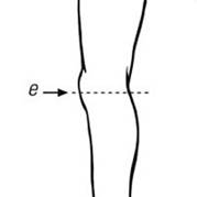 Measuring point:  e = Circumference middle of knee joint measured over patella  