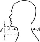 Measuring points:  Eyes looking straight  A = circumference of neck  K = height of chin (tip of chin to sternoclaricular joint level)  