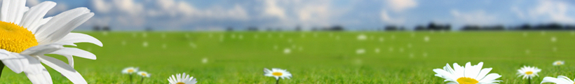 headerphoto